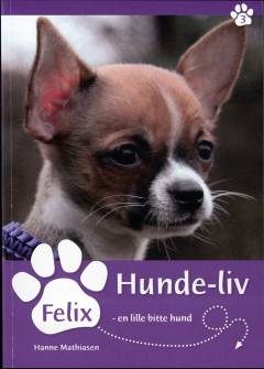 Felix, en lille bitte hund