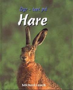 Hare