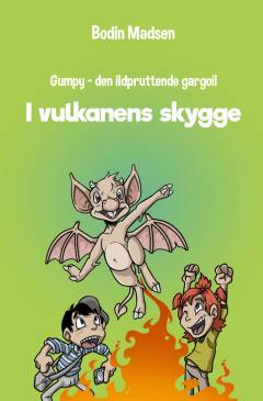 I vulkanens skygge