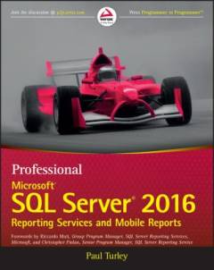 Professional Microsoft SQL server 2016 reporting services and mobile reports