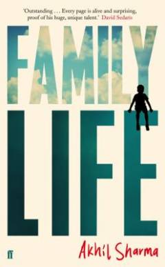 Family life : a novel