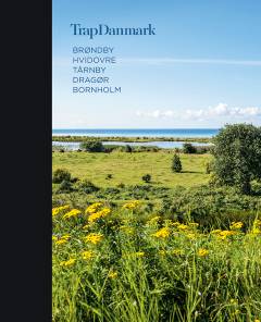 Trap Danmark. Bind 31 : Brøndby, Hvidovre, Tårnby, Dragør, Bornholm
