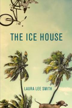 The ice house : a novel