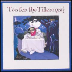 Tea for the tillerman 2