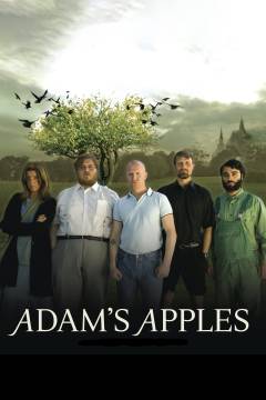Film (dvd), 2006