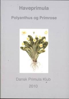 Haveprimula : polyanthus og primrose