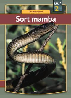 Sort mamba