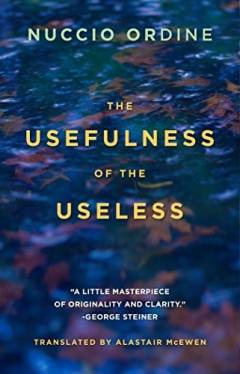 The usefulness of the useless