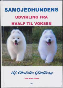 Samojedhundens udvikling fra hvalp til voksen