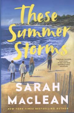These summer storms : a novel
