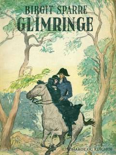 Glimringe : en slægtsroman