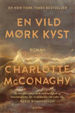 En vild mørk kyst