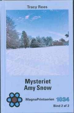 Mysteriet Amy Snow. Bind 2 (Stor skrift)