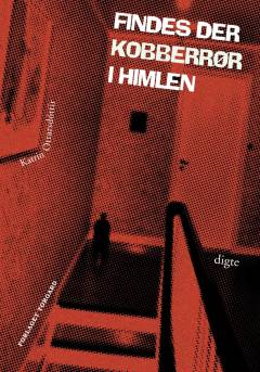 Findes der kobberrør i himlen : digte