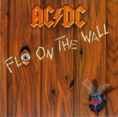Fly on the wall
