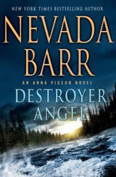 Destroyer angel