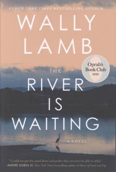 The river is waiting : a novel