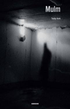 Bog, 1. udgave, 2020