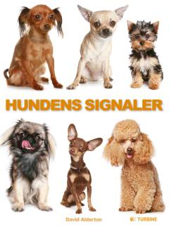 Bog, 1. udgave, 2015