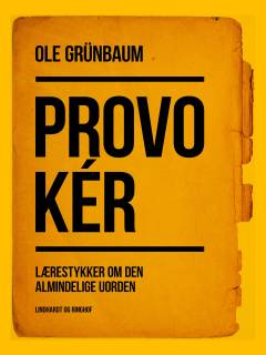 Provokér : lærestykker om den almindelige uorden