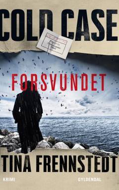Cold case - forsvundet : krimi