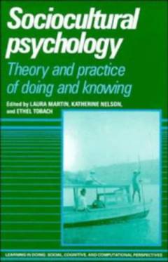 Sociocultural psychology : theory and practice of doing and knowing
