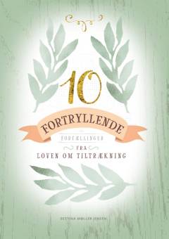 10 fortryllende fortællinger fra loven om tiltrækning