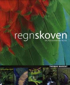 Regnskoven