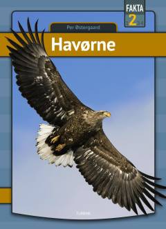 Havørne