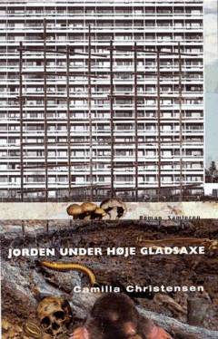 Bog, 1. udgave, 2002