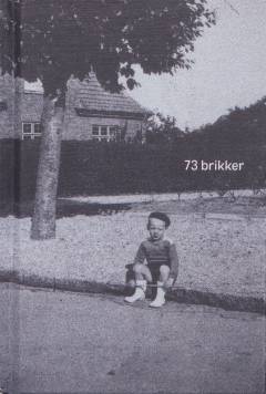 73 brikker