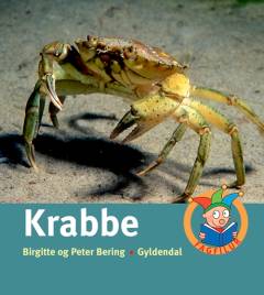 Krabbe