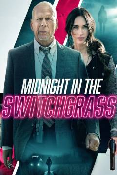 Midnight in the switchgrass