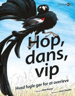 Hop, dans, vip : hvad fugle gør for at overleve