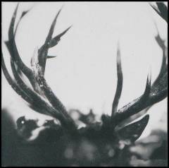 Ihsahn