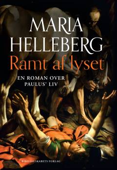 Ramt af lyset : en roman over Paulus' liv