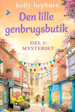 Den lille genbrugsbutik. Del 1 : Mysteriet