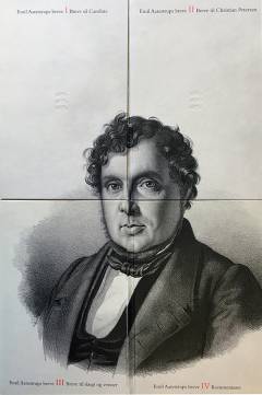 Emil Aarestrups breve. Bind 4 : Kommentarer