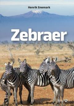 Zebraer