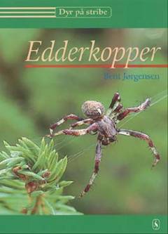 Edderkopper