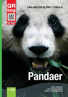 Pandaer