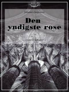 Den yndigste Rose