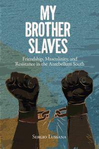 My brother slaves : friendship, masculinity, and resistance in the Antebellum South
