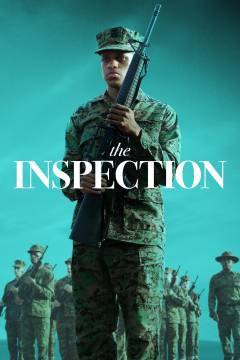 The inspection