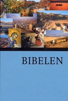 Bog, 1. udgave, 2004