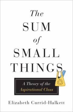 The sum of small things : a theory of the aspirational class