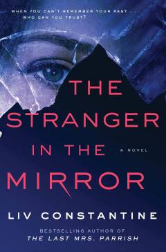 The stranger in the mirror : a novel