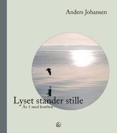 Lyset stander stille : år 1 med kræften