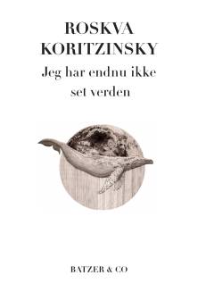 Jeg har endnu ikke set verden : noveller