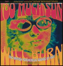 Too much sun will burn : the British psychedelic sounds of 1967, volume two